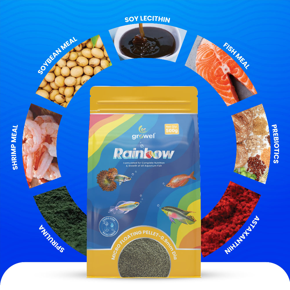 Growel Rainbow Micro 0.9mm Floating Pellet for Fish Fish Growel