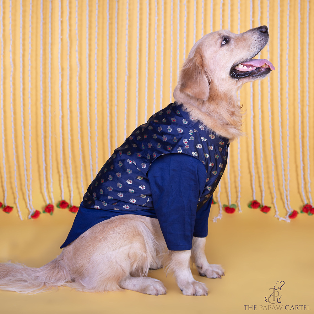 The Papaw Cartel Minakari Butti Traditional Koti Kurta for Dogs & Cats (Midnight Blue) Both-Clothing & Accessories The Papaw Cartel Dropship S