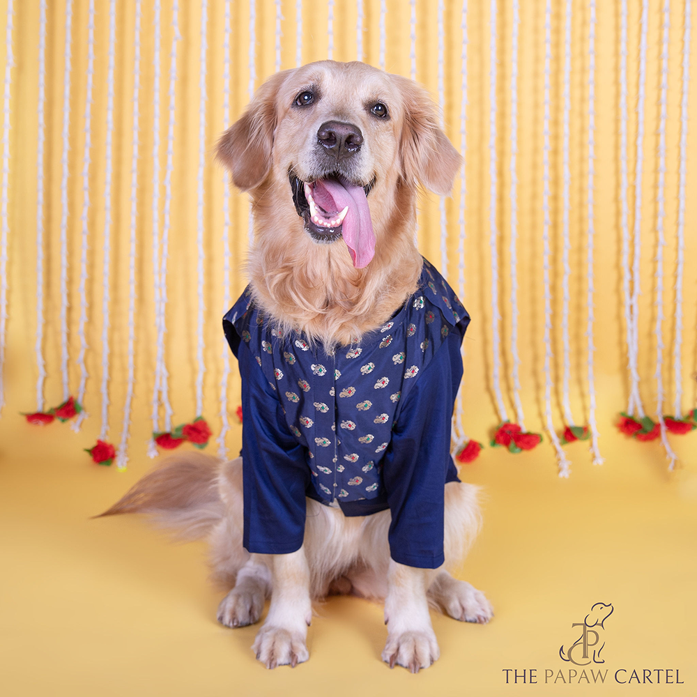The Papaw Cartel Minakari Butti Traditional Koti Kurta for Dogs & Cats (Midnight Blue) Both-Clothing & Accessories The Papaw Cartel Dropship