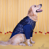 The Papaw Cartel Minakari Butti Traditional Koti Kurta for Dogs & Cats (Midnight Blue) Both-Clothing & Accessories The Papaw Cartel Dropship S