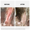 Moe Xtra Nourish for Relieving Itch and Moisturizing Dry Coat Shampoo for Dogs and Cats Both-Grooming Supplies Moe
