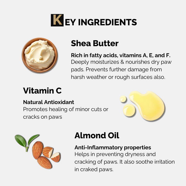 Moe Puppy Vitamin E Shea Butter Paw Cream for Dogs & Cats
