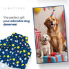 15buttons Moon & Stars Shirt for Dogs Dogs-Clothing & Accessories 15buttons Dropship