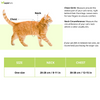 Zoomiez Adjustable Solar Printed Soft Mesh Harness for Cats