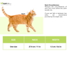 Trixie Elastic Collars with Bell for Cats (Orange) Cats-Collar, Leashes, harnesses Trixie
