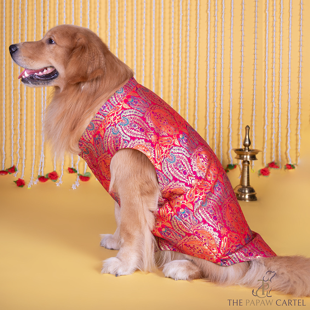 The Papaw Cartel Banarasi Brocade Sleeveless Sherwani with Pocket Square for Dogs & Cats Both-Clothing & Accessories The Papaw Cartel Dropship S