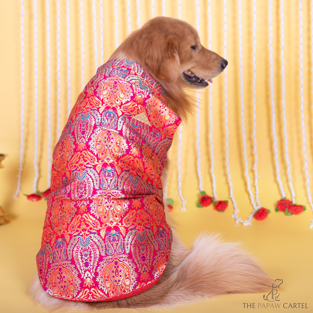 The Papaw Cartel Banarasi Brocade Sleeveless Sherwani with Pocket Square for Dogs & Cats Both-Clothing & Accessories The Papaw Cartel Dropship