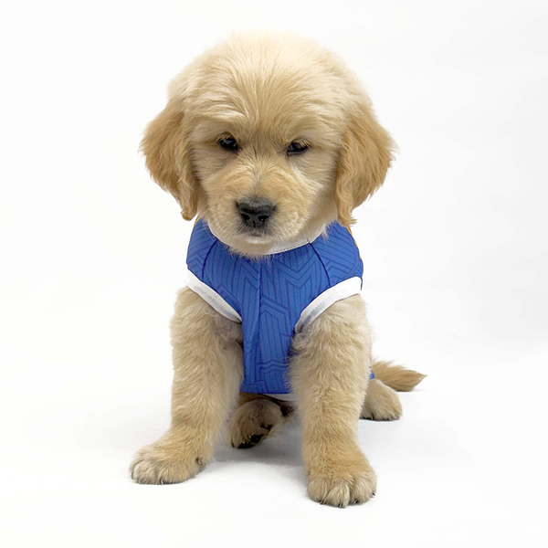 Pets Way Mumbai Indies Team Jersey Vest for Dogs | Indian Pet League
