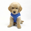 Pets Way Mumbai Indies Team Jersey Vest for Dogs | Indian Pet League Dogs-Clothing & Accessories Pets Way Dropship