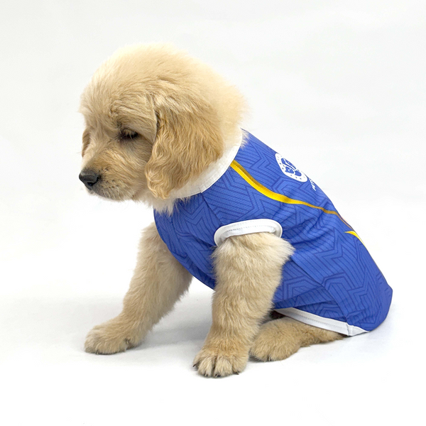 Pets Way Mumbai Indies Team Jersey Vest for Dogs | Indian Pet League