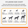 Nylabone Medley Flavoured Textured Power Chew Bone Toy for Dogs (Brown) Dogs-Toys Nylabone