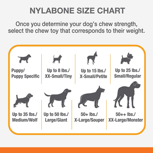 Nylabone Puppy Teething Peanut Butter Flavoured Chew Freezer Bone Toy for Dogs (Blue/Green)