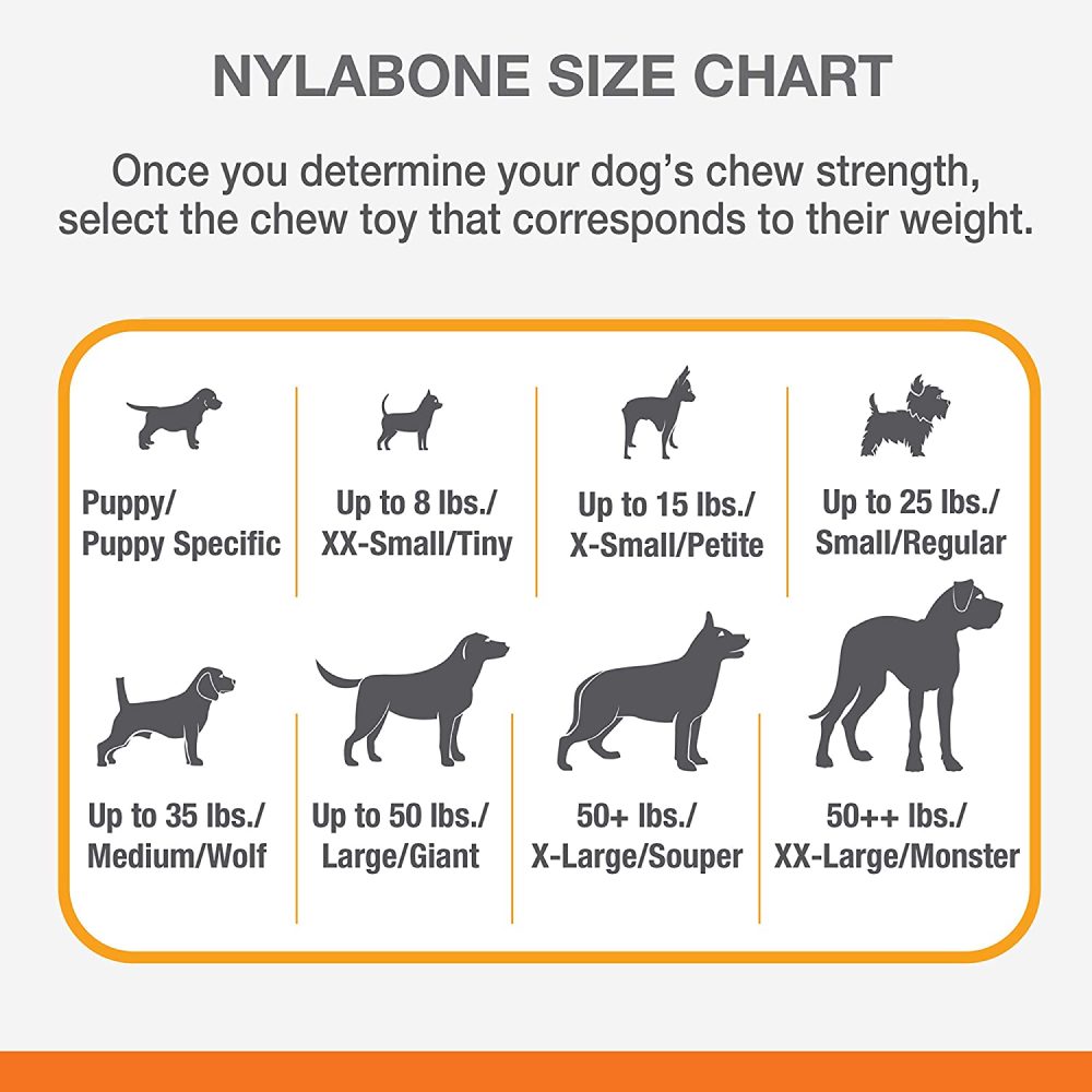 Nylabone Sliver Collection Beef Flavoured Stong Chew Toy for Dogs (Orange)