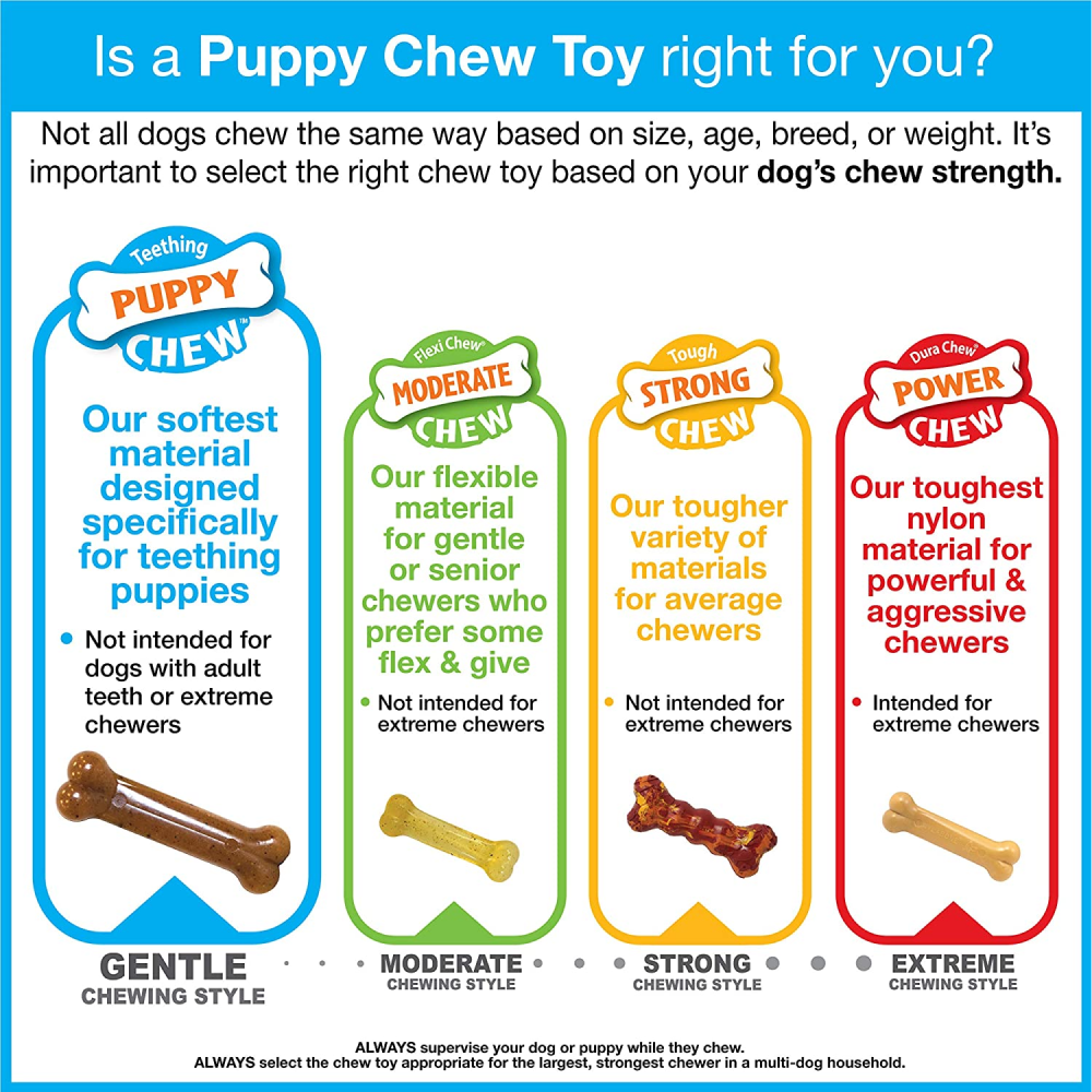 Nylabone Puppy Teething Chicken Flavoured Dino Chew Toy for Dogs (Blue)