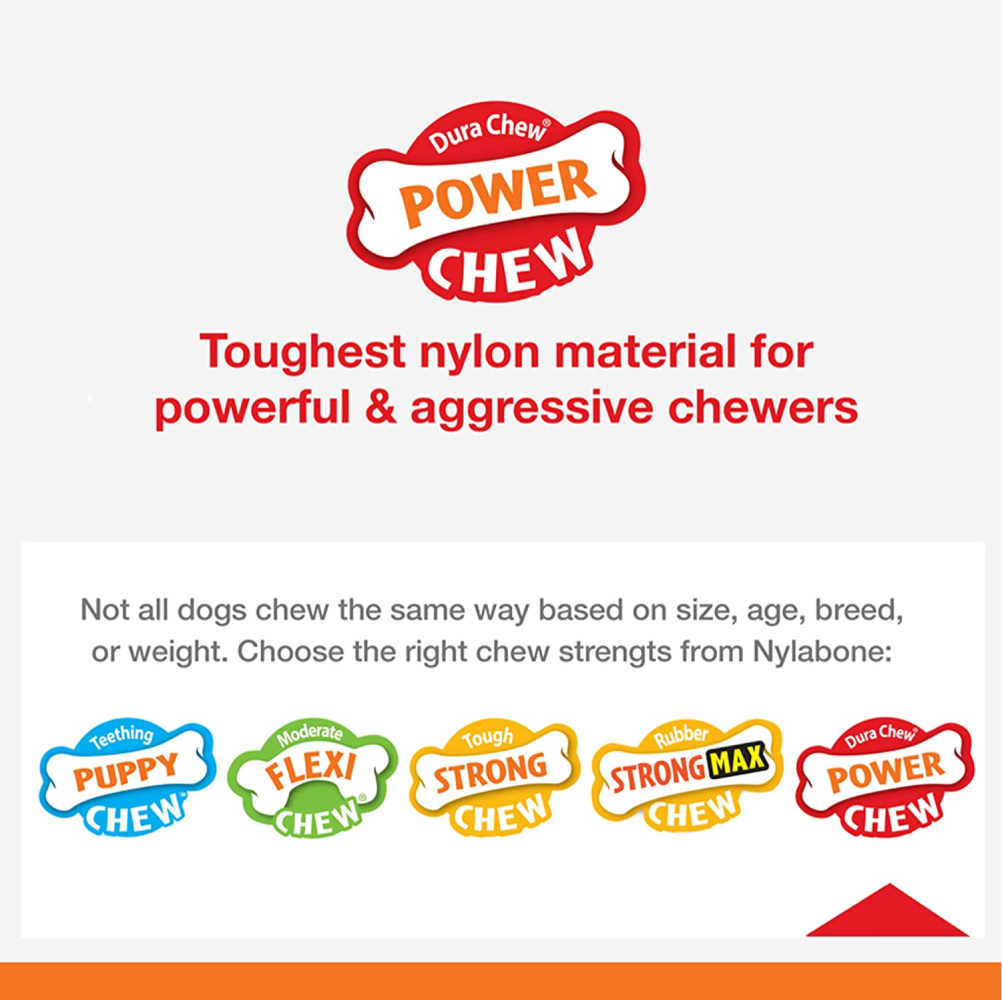 Nylabone Flavor Medley Power Chew Ring Bone Toy for Dogs