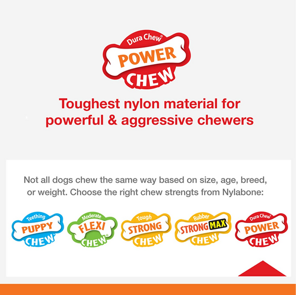 Nylabone Bison Flavor Shin Bone Alternative Power Chew Toy for Dogs