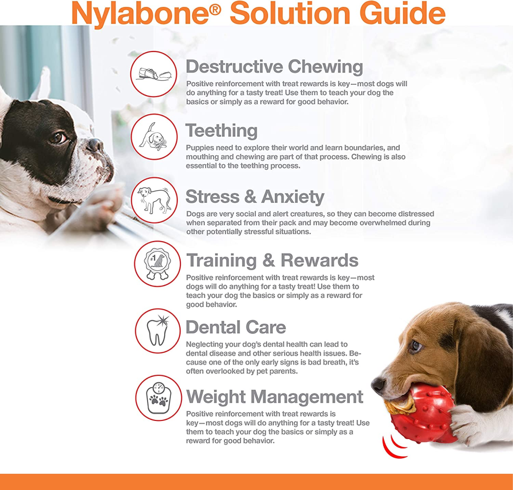 Nylabone Flavor Medley Power Chew Ring Bone Toy for Dogs