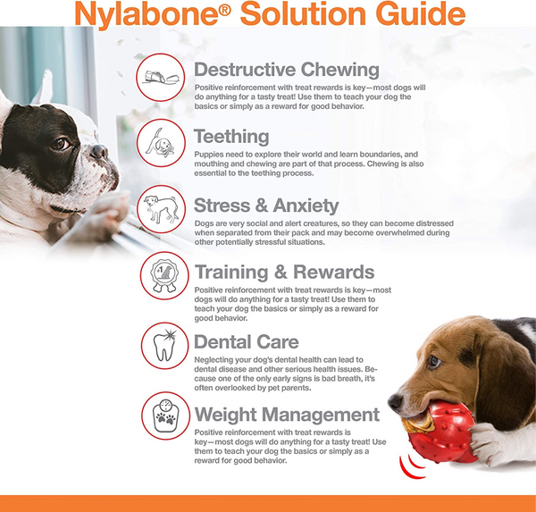 Nylabone Bison Flavor Shin Bone Alternative Power Chew Toy for Dogs