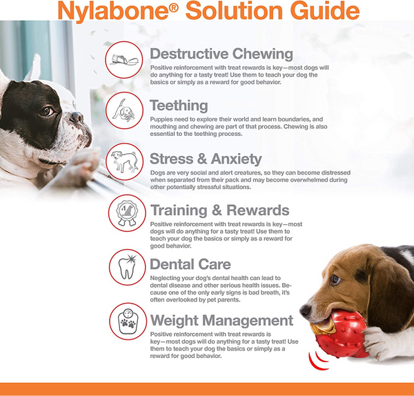 Nylabone Original Flavoured Power Chew Textured Bone (Beige)