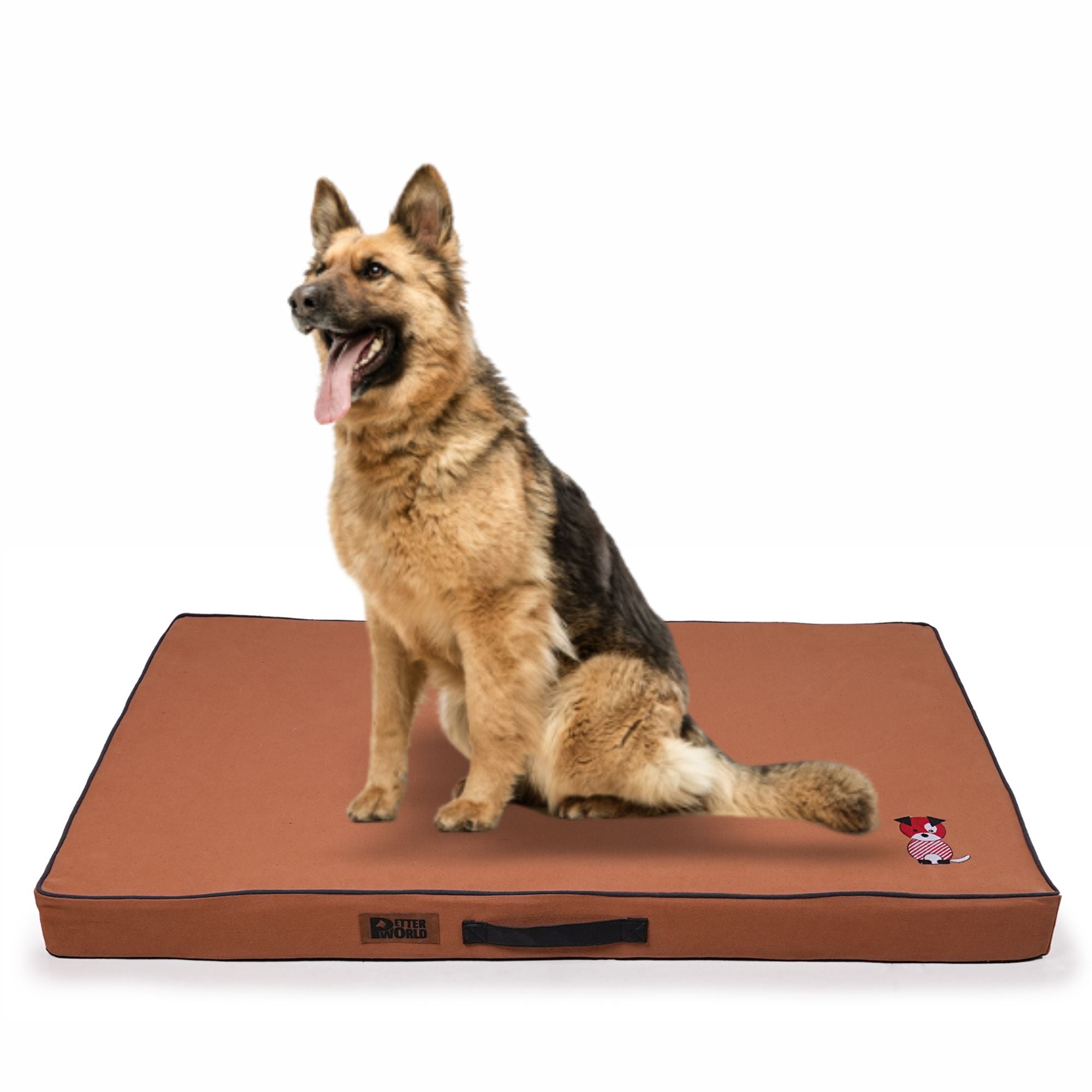 Petter World Comfort Flat Foam Bed for Dogs (Earthy Brown)