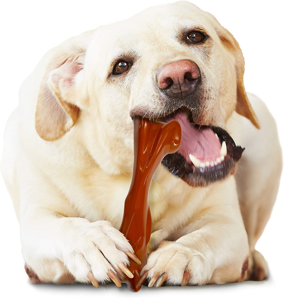 Nylabone Bison Flavor Shin Bone Alternative Power Chew Toy for Dogs