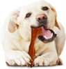 Nylabone Bison Flavor Shin Bone Alternative Power Chew Toy for Dogs Dogs-Toys Nylabone