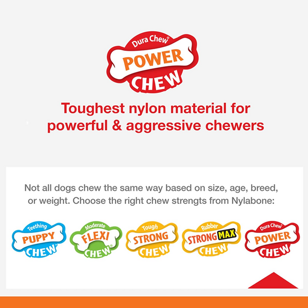 Nylabone Power Action Ridges Bone Chew Toy for Dogs