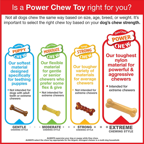Nylabone Power Action Ridges Bone Chew Toy for Dogs