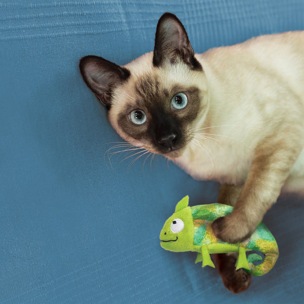Kong Refillables Chameleon Toy for Cats (Green)
