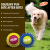 Nerf Dog Set of 2 Durable Squeaky Tennis Balls for Dogs