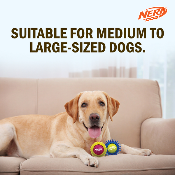 Nerf Dog Set of 2 Durable Squeaky Tennis Balls for Dogs