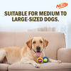 Nerf Dog Set of 2 Durable Squeaky Tennis Balls for Dogs