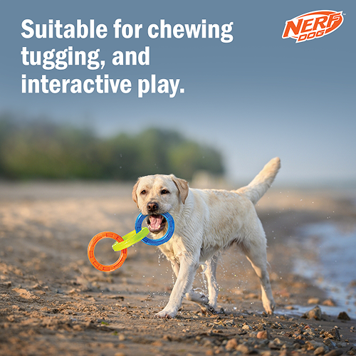 Nerf Dog EXO Translucent Spike 3 Rings Toy for Dogs (Blue/Green/Orange)