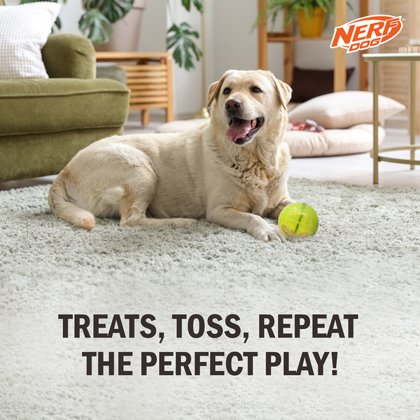 Nerf Dog Bungee Treat Ball Toy for Dogs (Green)