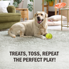 Nerf Dog Bungee Treat Ball Toy for Dogs (Green)