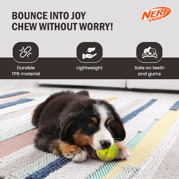 Nerf Dog Bungee Treat Ball Toy for Dogs (Green)