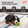 Nerf Dog Bungee Treat Ball Toy for Dogs (Green)