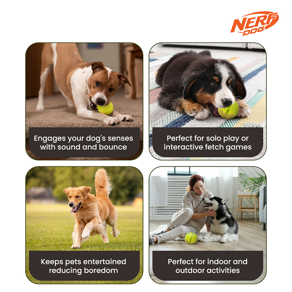 Nerf Dog Bungee Treat Ball Toy for Dogs (Green)
