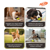 Nerf Dog Bungee Treat Ball Toy for Dogs (Green)