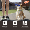 Nerf Dog Squeak Stick Toy for Dogs (Blue) Dogs-Toys Nerf