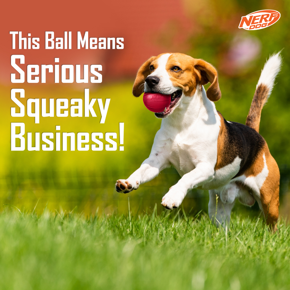 Nerf Bash Transparent TPR Classic Squeak Ball Toy for Dogs (Red) Dogs-Toys Nerf