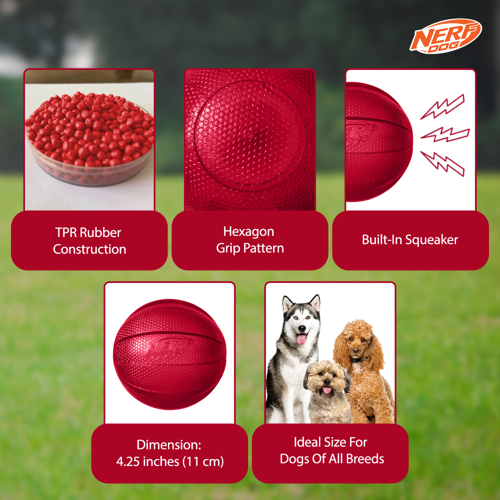 Nerf Bash Transparent TPR Classic Squeak Ball Toy for Dogs (Red) Dogs-Toys Nerf