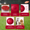 Nerf Bash Transparent TPR Classic Squeak Ball Toy for Dogs (Red) Dogs-Toys Nerf