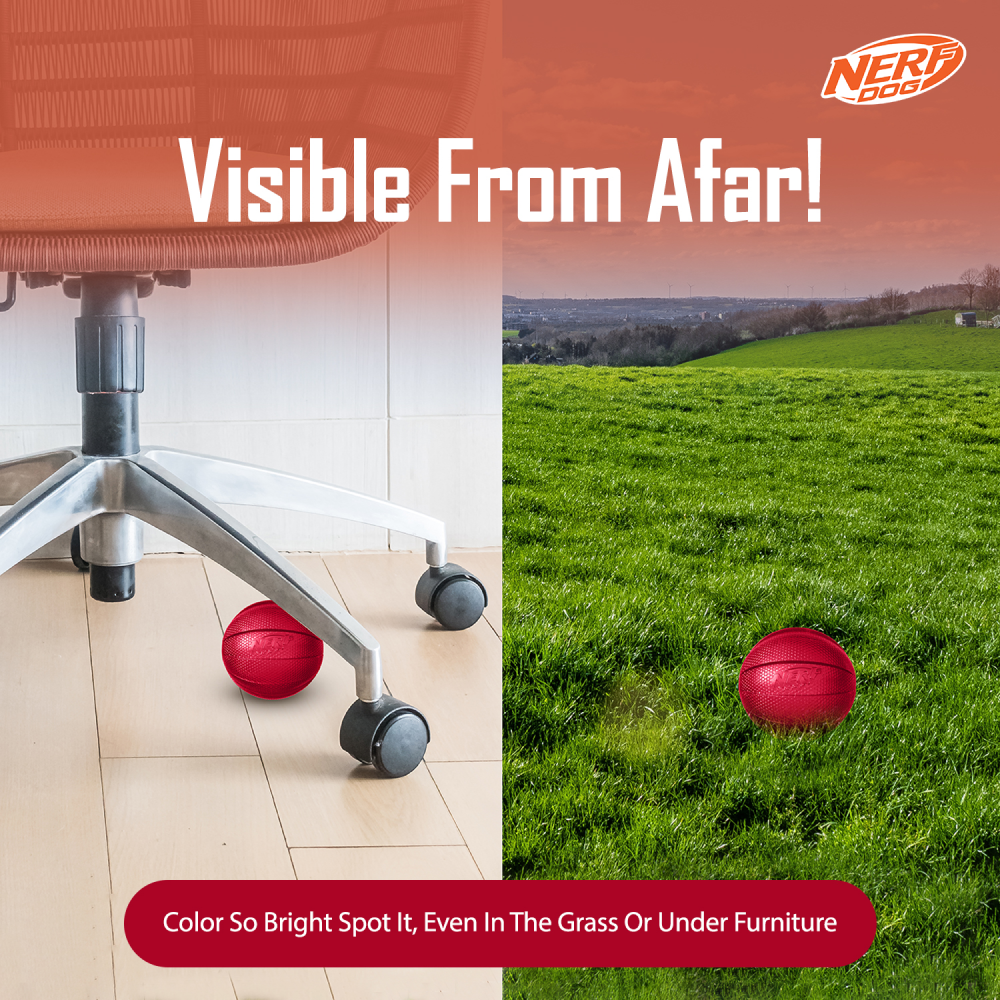 Nerf Bash Transparent TPR Classic Squeak Ball Toy for Dogs (Red) Dogs-Toys Nerf