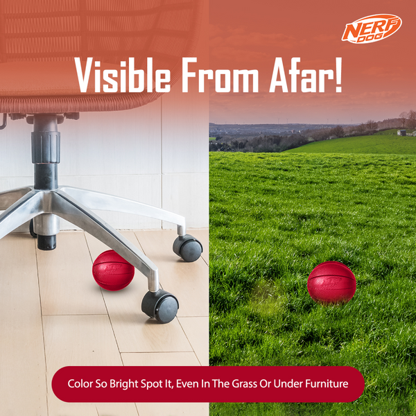 Nerf Bash Transparent TPR Classic Squeak Ball Toy for Dogs (Red)