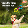 Nerf Dog Translucent Spike 3 Rings Toy for Dogs (Blue/Pink/Yellow) Dogs-Toys Nerf