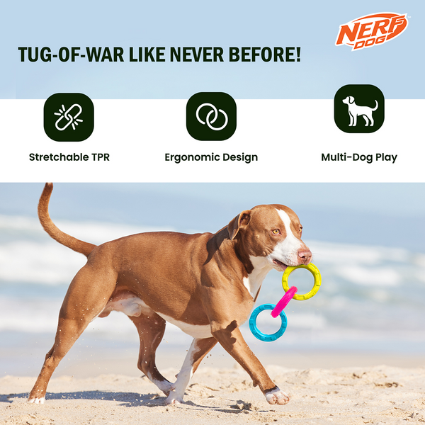 Nerf Dog Translucent Spike 3 Rings Toy for Dogs (Blue/Pink/Yellow)