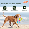Nerf Dog Translucent Spike 3 Rings Toy for Dogs (Blue/Pink/Yellow) Dogs-Toys Nerf
