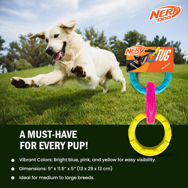 Nerf Dog Translucent Spike 3 Rings Toy for Dogs (Blue/Pink/Yellow)