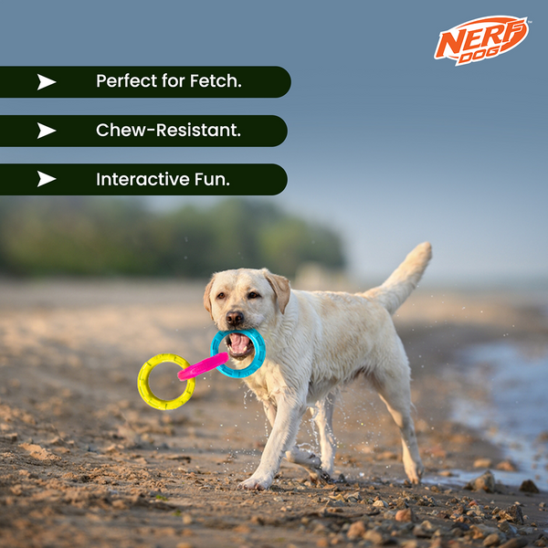 Nerf Dog Translucent Spike 3 Rings Toy for Dogs (Blue/Pink/Yellow)
